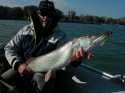 Gros brochet sur petit crank favorit Gros brochet sur petit crank favorit